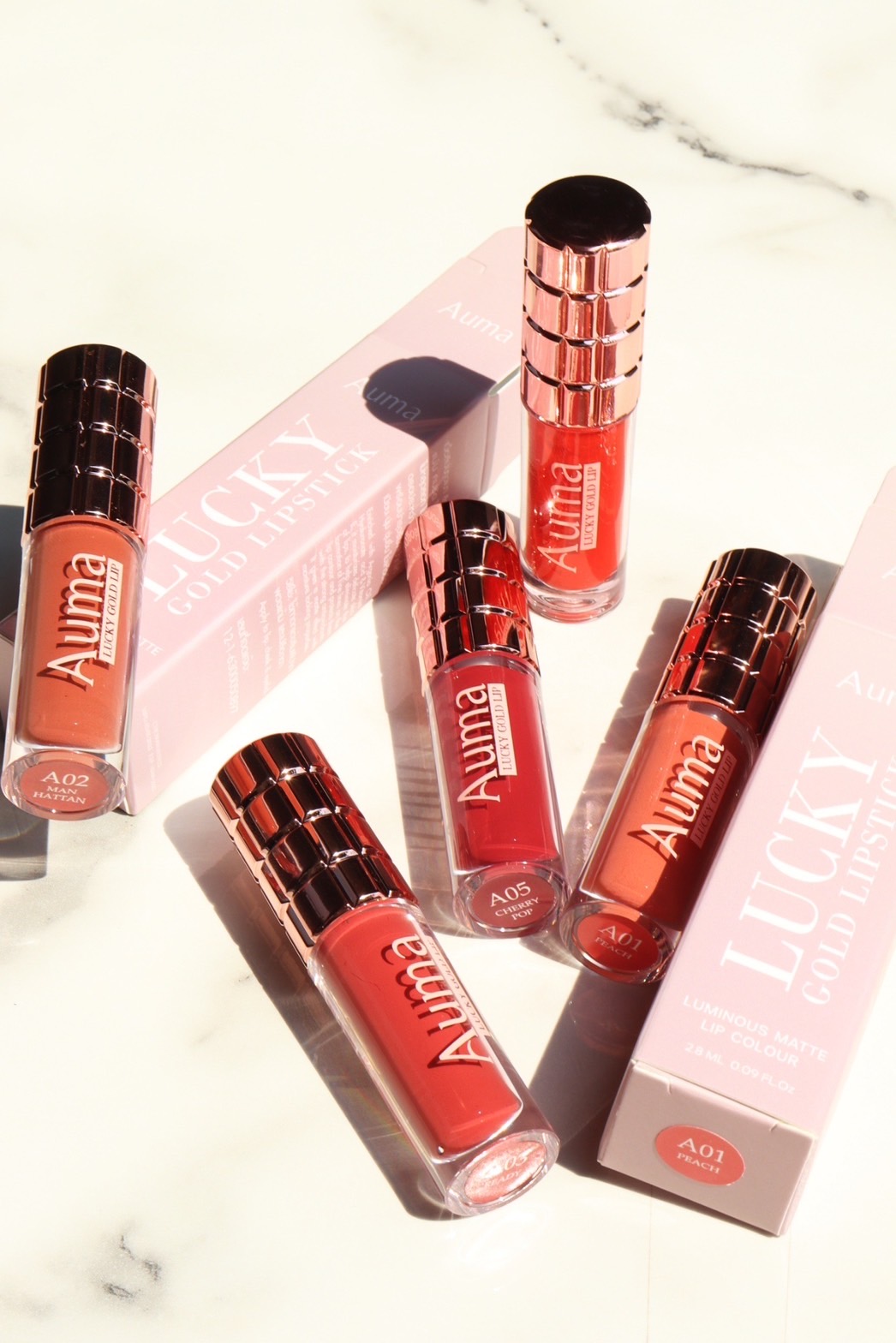 Previous Work Image 29